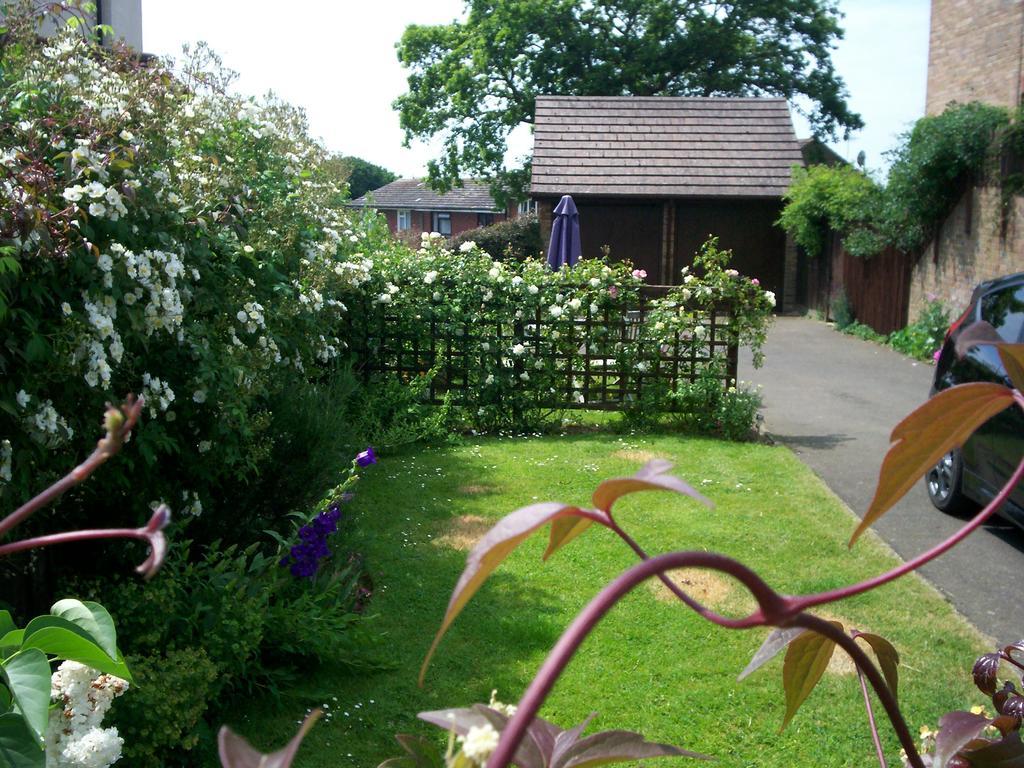 Muffins Bed and Breakfast Hastings Eksteriør billede