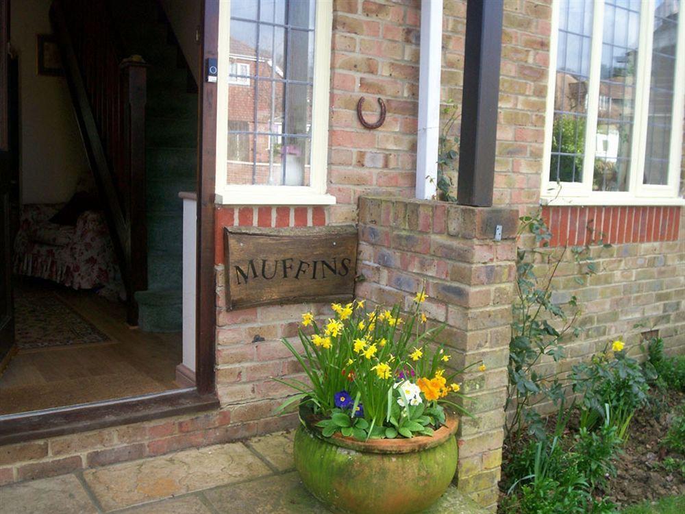 Muffins Bed and Breakfast Hastings Eksteriør billede